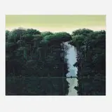 Tomás Sánchez, Meditador en la orilla, 2020, screenprint in colors on Somerset Satin laid to aluminium