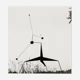 Herbert Matter, Morning Star, Roxbury (from the Calder by Matter portfolio), 2013, gelatin silver print