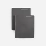 Paul Rand, Westinghouse graphics and signage guidelines
