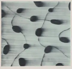 Untitled by Mark Francis, Mark Francis (b.1962) Untitled aquatint in colours, sold Apr 2021
