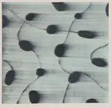 Mark Francis, Untitled