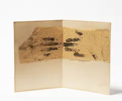 Adriena Šimotová, Touch, 1982, tempera, handmade paper, cardboard