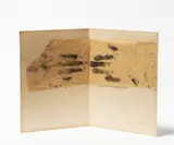 Adriena Šimotová, Touch, 1982, tempera, handmade paper, cardboard