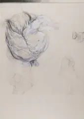 Jiří Sozanský, Corpus, 2006, pencil, white paint, paper