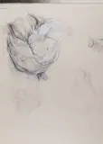 Jiří Sozanský, Corpus, 2006, pencil, white paint, paper