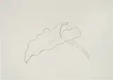 Leaf VIII (from Twelve Leaves) by Ellsworth Kelly, 1978, 1-color lithograph on Arches 88 paper, sold Oct 2017