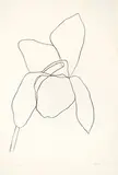 Cyclamen I (from Suite of Plant Lithographs) by Ellsworth Kelly, 1964-1965, Lithograph on Rives BFK white paper, sold Oct 2017