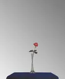 Michelangelo Pistoletto, La Rosa