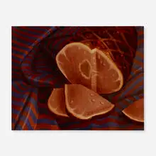 Donald Roller Wilson, Ham, 1977, oil on canvas