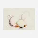 Dora Maar, Still Life with Fruit, ink on paper