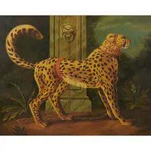 William Skilling, Cheetah in a Red Harness, United Kingdom / USA