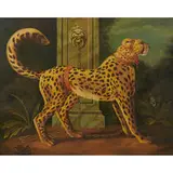 William Skilling, Cheetah in a Red Harness, United Kingdom / USA