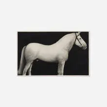 Joseph Piccillo, Untitled (study), 1978, charcoal on paper