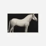 Joseph Piccillo, Untitled (study), 1978, charcoal on paper