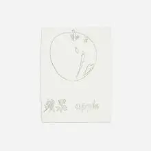 Andy Warhol, Apple, 1983, graphite on paper