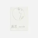 Andy Warhol, Apple, 1983, graphite on paper