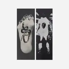 Rob Wynne, My Left Foot and Face (diptych), 1992-93, screenprint on canvas