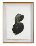 Avi Eisenstein, Untitled, diluted acrylic on Steinbach paper