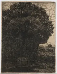 Vojtěch Preissig, Tree by the Water, 1905-1908, paper, etchingand drypoint