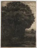 Vojtěch Preissig, Tree by the Water