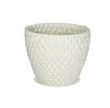 David Cressey, Phoenix planter