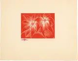 Paul Landacre, Poinsettias