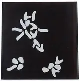 Jean Arp, Variables Bild (3 x 7 = 21 Formen), 1964, Paper, wood, and Plexiglas