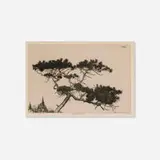 Ernest Haskell, Crippled Pine, 1900-25, etching