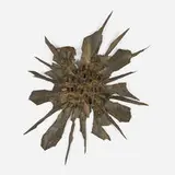 Judith Brown, Nature Form, brass