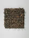 Zum Schweigen der Schrift – Handverstümmelung by Günther Uecker, 1978, Nägel, schwarze Farbe auf Leinwand auf Holz, sold Jun 2016