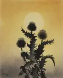 Ota Janeček, Thistle, 1956, indian ink, watercolour, paper