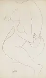 Ota Janeček, Nude