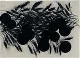 Donald Sultan, Oranges on Branches, 2001, Charcoal and flocking on paper