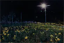 Untitled (from Bogota de Noche Series) (2) by Eduardo Consuegra, 1999-2000, Chromogenic print, sold May 2017