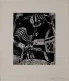 Brett Weston, Distortion