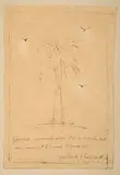 Untitled by Alberto Giacometti, 1952, Ink on paper mounted to mat board, sold May 2017