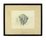 Thomas Sidney Cooper, Untitled