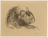 Käthe Kollwitz, Selbstbildnis mit geschlossenen Augen, nach hinten geneigt, 1909, Kreide auf bräunlichem Bütten