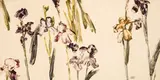 Forrest Moses, Untitled, 1985, Monotype on paper