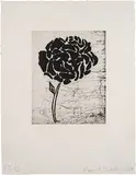 Donald Baechler, Five Flowers (5), 2007, The complete set of five etchings on Aquari paper