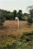 The Girl Next Door by Richard Prince, 1999, Ektacolor print on Kodak paper, sold Mar 2017