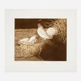 Jamie Wyeth, White Leghorns, 1981, etching in colors