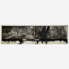 Judy Pfaff, Til Skogen, 2000, photogravure, hand-painted dye, silver leaf and beeswax on Crown Kozo
