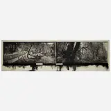 Judy Pfaff, Til Skogen, 2000, photogravure, hand-painted dye, silver leaf and beeswax on Crown Kozo