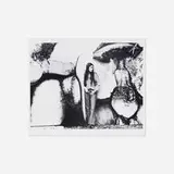 Betty Tompkins, Untitled, c. 1970, gelatin silver print