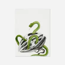 Ricky Swallow, Snake/Helmet Study (green), 2004, graphite and watercolor on paper