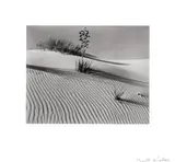 Brett Weston, White Sands, New Mexico, 1946