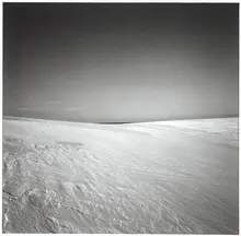 Cape Cod by Harry Callahan, Gelatin silver print, sold Mar 2017
