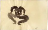 Shahzia Sikander, Untitled