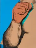 Andy Warhol, Untitled (from Muhammad Ali Portfolio), 1978, Color screenprint on Strathmore Bristol paper